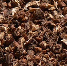 DANDELION ROOT C/S ROASTED